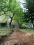 Парцел 530 кв.м сред борова гора, на 25 км от Боровец и 40 км от София, снимка 2