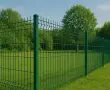 Оградни пана зелени, снимка 1
