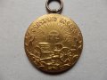 Медал Осветено Косово 1912г., снимка 1 - Антикварни и старинни предмети - 34640992