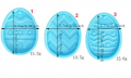 3 модела Великденско яйце с декор плитък силиконов молд форма фондан шоколад гипс смола декор, снимка 1 - Форми - 36188387