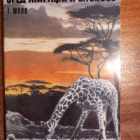 Сред жирафи и слонове, снимка 1 - Художествена литература - 44510443