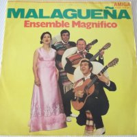 Грамофонна плоча "AMIGA-MALAGUEÑA-Ensemble Magnifico", снимка 1 - Грамофонни плочи - 41241453