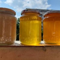 Пчелен мед от производител 2023г, снимка 3 - Пчелни продукти - 41874577