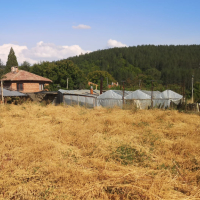 Парцел в село Лиляч, снимка 1 - Парцели - 44617127