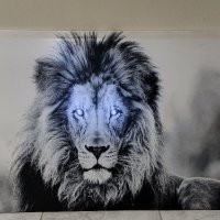Светеща картина с LED осветление - цар лъв 🦁, снимка 2 - Картини - 40614072