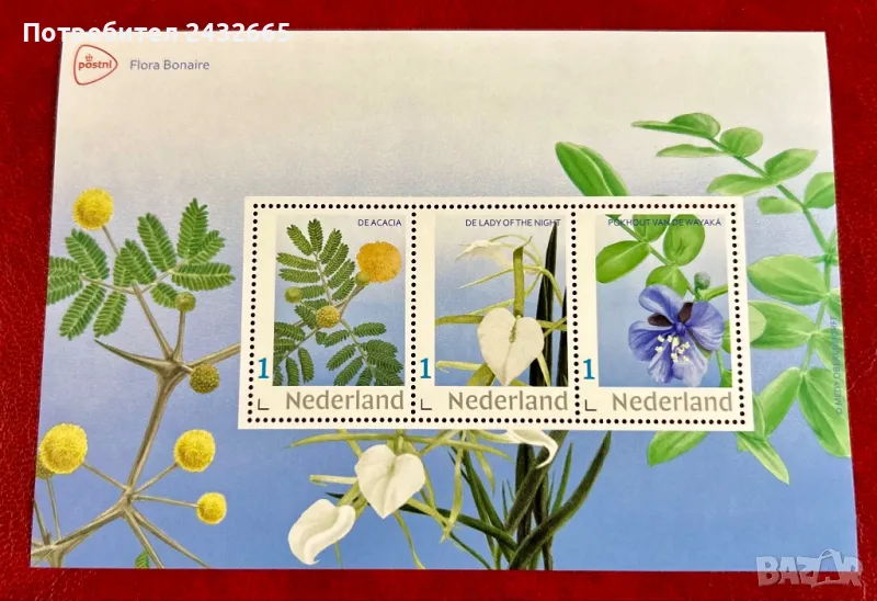2336. Нидерландия 2024 = “ Флора от остров Бонер. “, **, MNH, снимка 1