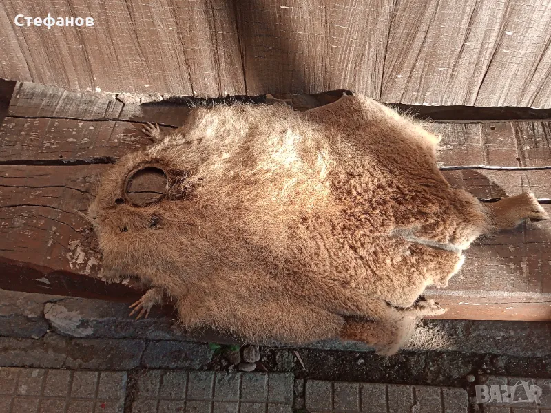 Кожа за резервоара на Ямаха Вираго , снимка 1