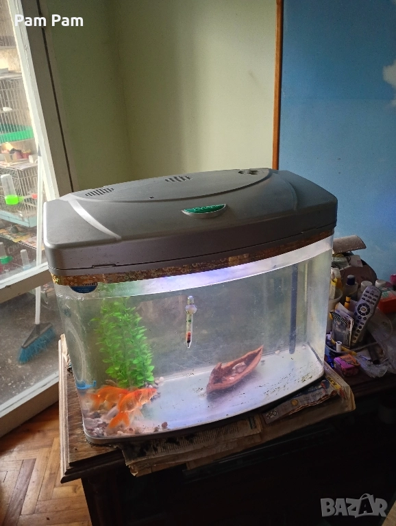 Аквариуми, снимка 1