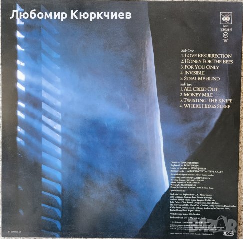 Alison Moyet - ALF / 1984, снимка 2 - Грамофонни плочи - 39741742