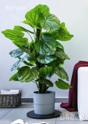 Универсална кръгла, въртяща се поставка Hama + бонус, снимка 11 - Стойки, 3D очила, аксесоари - 52771302