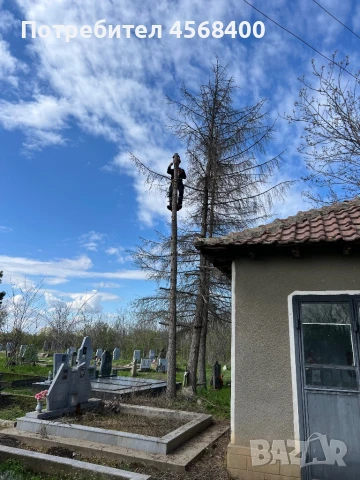 Премахване на опасни дървета , снимка 7 - Други услуги - 51406602