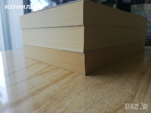 Всичко мое / Какво избирате госпожо Президент / Смърт в сянка - Ане Холт, снимка 3 - Художествена литература - 49553150