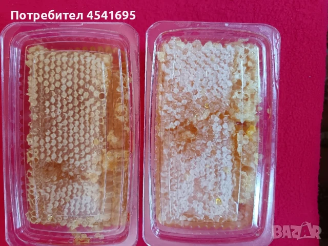 Мед с пчелна пита, снимка 5 - Пчелни продукти - 51116580