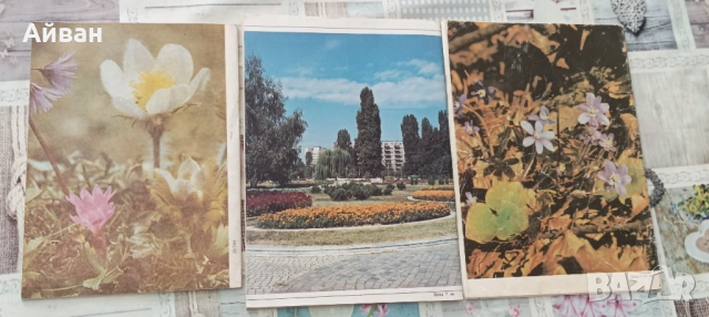 Списания Природа и знание, снимка 2 - Списания и комикси - 51804915