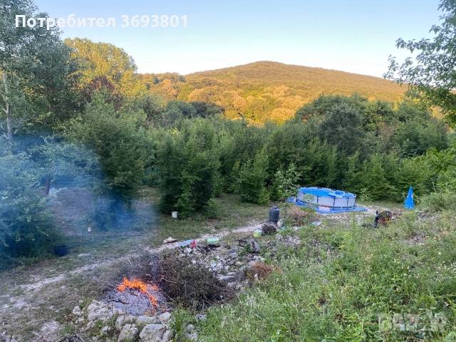 5 декара Парцел   С Трюфелна ферма, снимка 2 - Вили - 51957630