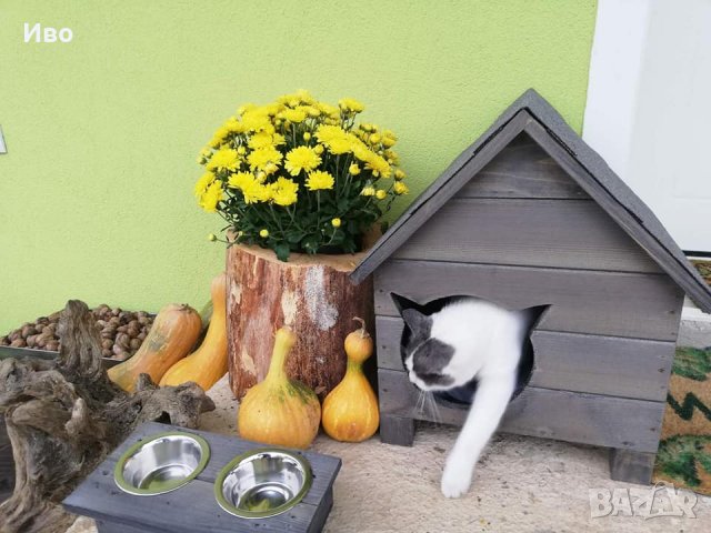 Къща за коте - размери С и М - Колиба за котета, Къщичка за котки, снимка 8 - За котки - 29516693