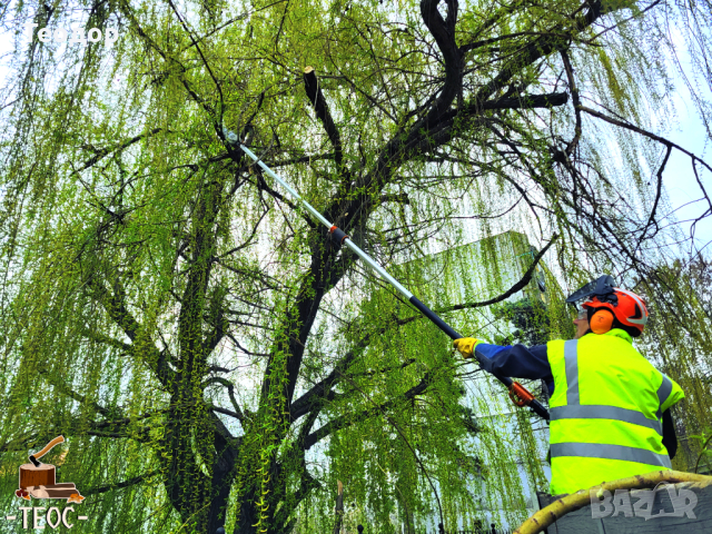 Косене, рязане и разчистване на парцели, снимка 3 - Други почистващи услуги - 44635424