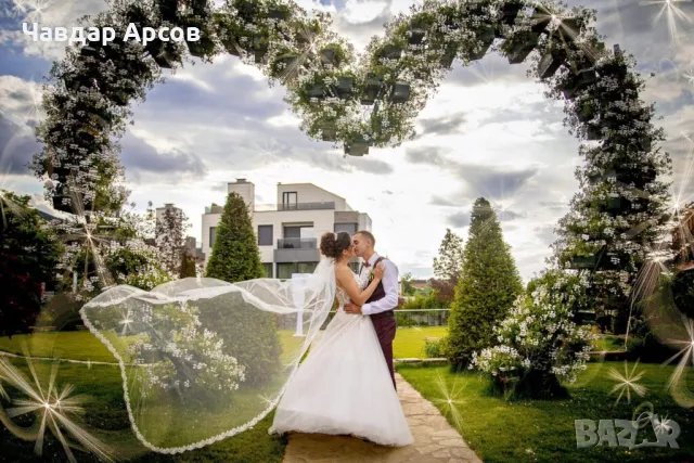 Професионален фотограф