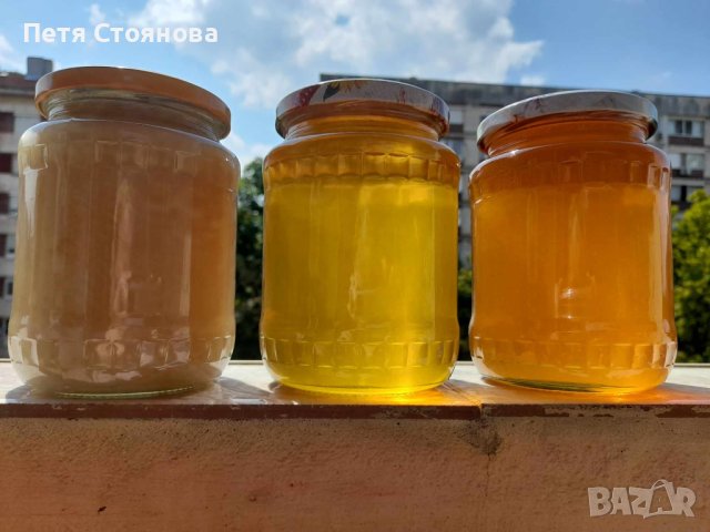 Пчелен мед от производител 2023г, снимка 3 - Пчелни продукти - 41874577