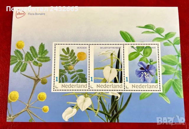 2336. Нидерландия 2024 = “ Флора от остров Бонер. “, **, MNH