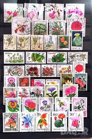 Пощенски марки цветя 260 бр.  К.1, снимка 2 - Филателия - 48877268