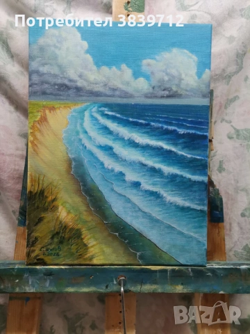 Крайбрежни вълни, снимка 3 - Картини - 53663713