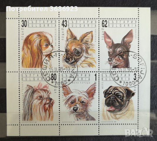 1991 (11 октомври). Салонни кучета. Блок с печат., снимка 1 - Филателия - 41588685