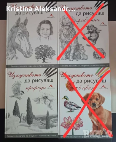 Книги за рисуване: Изкуството да рисуваш