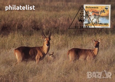 Ботсвана 1988 - 4 броя Карти Максимум - WWF, снимка 3 - Филателия - 38881701