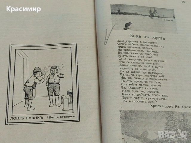 Винтидж Списание Росица 1924-1925 г. , снимка 5 - Детски книжки - 52983650