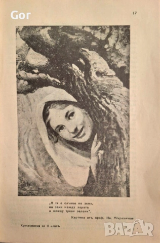 БИБЛИОГРАФСКА РЯДКОСТ: Елисавета Багряна и Калина Малина (1932 г.), снимка 7 - Антикварни и старинни предмети - 53809826