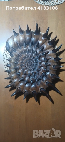 Голямо пано ръчна дърворезба Ноутилус - орех, снимка 2 - Пана - 52910588