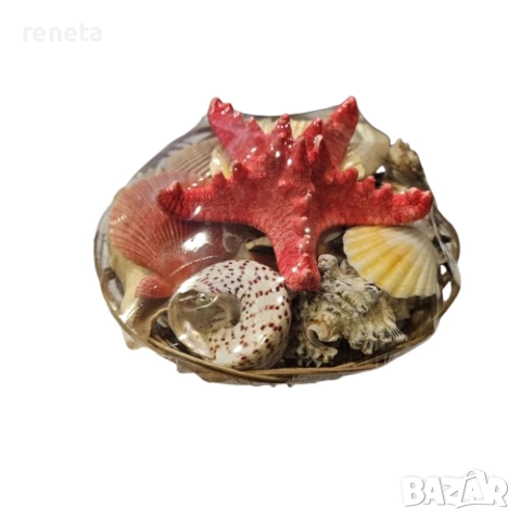 Кошничка с раковини, Естествени, 15 см/диаметър, снимка 1