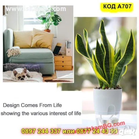 Средна пластмасова саксия с резервоар за вода - КОД А707, снимка 9 - Саксии и кашпи - 50317121