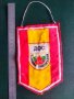 Продавам футболно флакче ДФС Червено знаме Павликени, снимка 1 - Фен артикули - 44430905