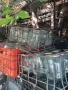 Буркани различни модели и грамаж., снимка 4