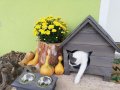 Къща за коте - размери С и М - Колиба за котета, Къщичка за котки, снимка 8