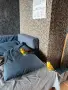 Поен мъжки папагал , снимка 11