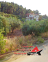 Астарта-Х Консулт продава парцел в района на Агиос Николаос Халкидики-Ситония Гърция , снимка 1