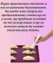 Силиконова подложка с борд за печене Tapperware , снимка 3