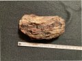Опализирано дърво , вкаменено дърво , Опал, снимка 1 - Антикварни и старинни предмети - 42627352