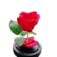 Изкуствена роза под стъклен похлупак, Дървена основа,Червена, 17x11 см, снимка 5 - Подаръци за жени - 35761290