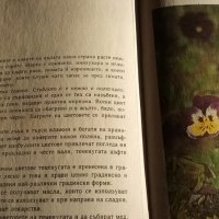 Детско албумче за растения и животни – Н. Меранзова, П. Кръстев, П. Димитров, снимка 3 - Енциклопедии, справочници - 35909733