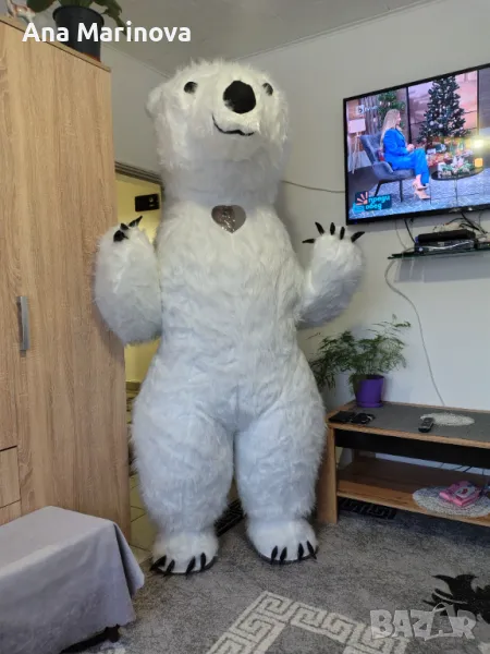 Бяла мечка - Шумен под наем, снимка 1
