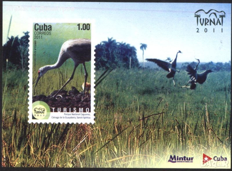 Чист блок Фауна Птици 2011 Куба, снимка 1