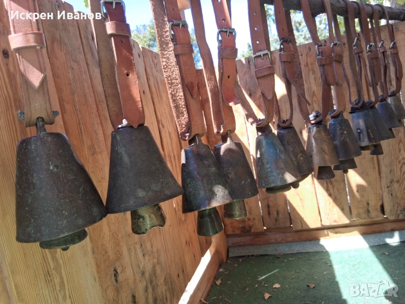 Чанове; Чан; Звънци, снимка 1