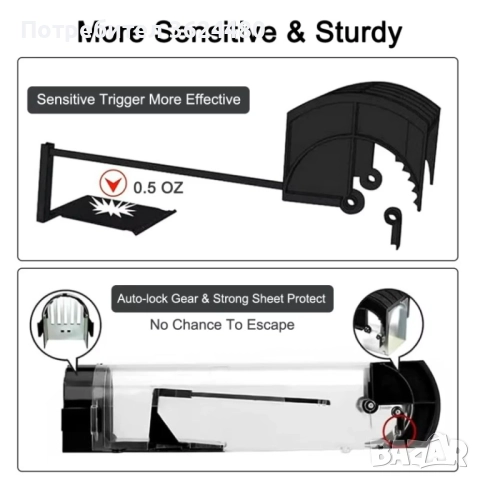  Капан за Гризачи Прозрачен Дизайн, снимка 6 - Други стоки за дома - 52429206