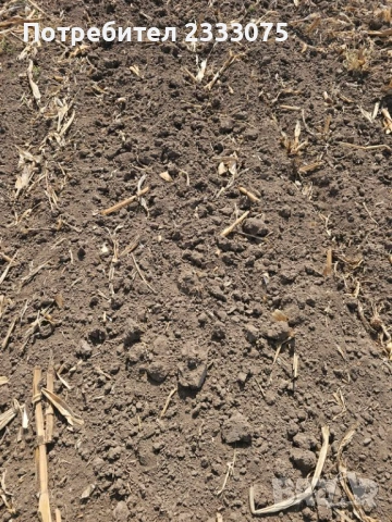 Продавам 25 дка земя в землището на с. Боянци, обл. Пловдив, снимка 11 - Земеделска земя - 53530308