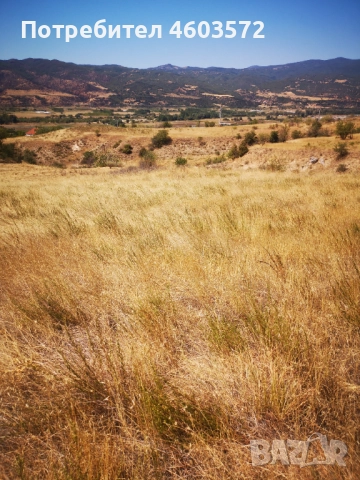 Собственик продава 3 броя парцели, снимка 7 - Парцели - 51817495
