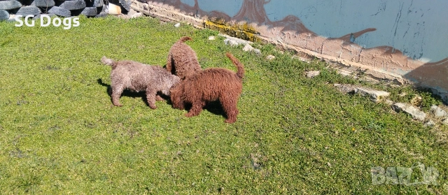 продавам лагото, снимка 6 - Други - 53779021